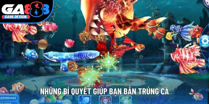 Những bí quyết giúp bạn bắn trúng cá