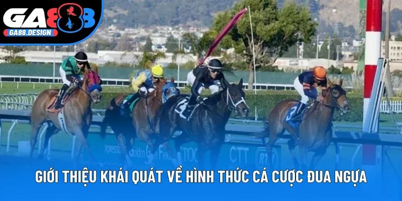 Giới thiệu khái quát về hình thức cá cược đua ngựa