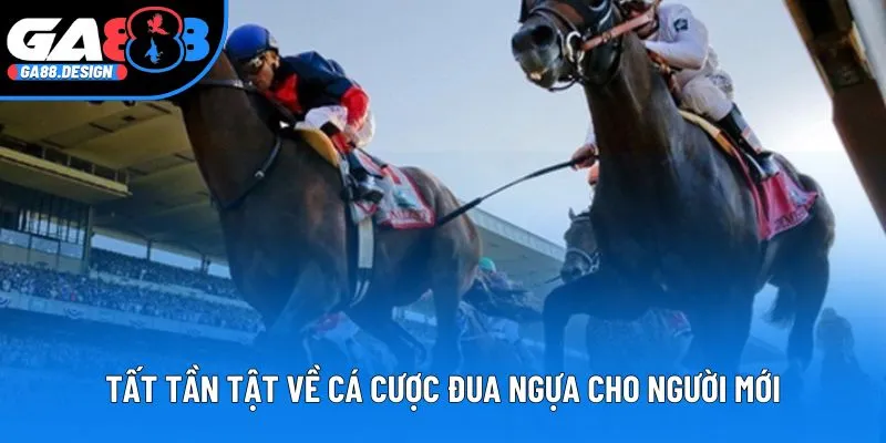 Tất tần tật về cá cược đua ngựa cho người mới