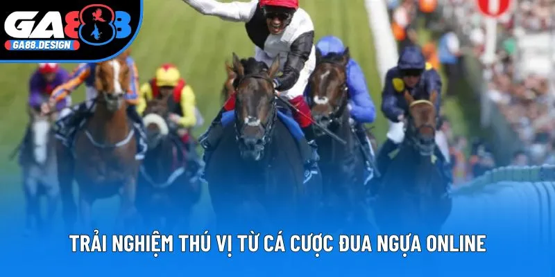 Trải nghiệm thú vị từ cá cược đua ngựa online