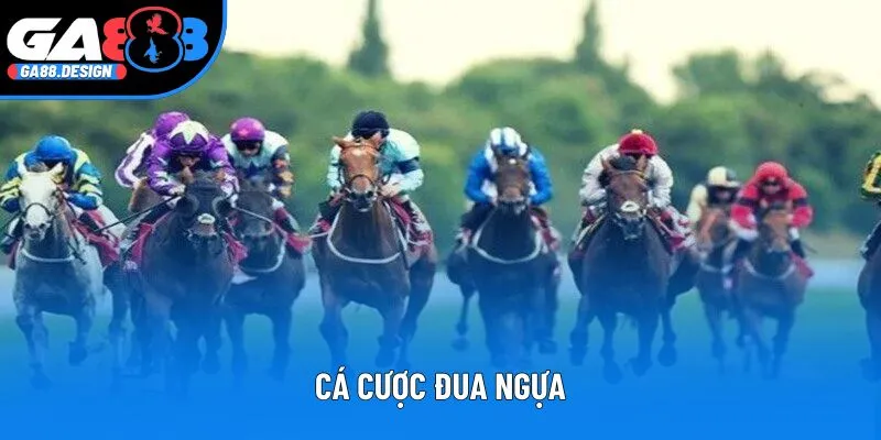 Cá Cược Đua Ngựa - Săn Thưởng Cực Lớn Cùng Tỷ Lệ Cược Vàng