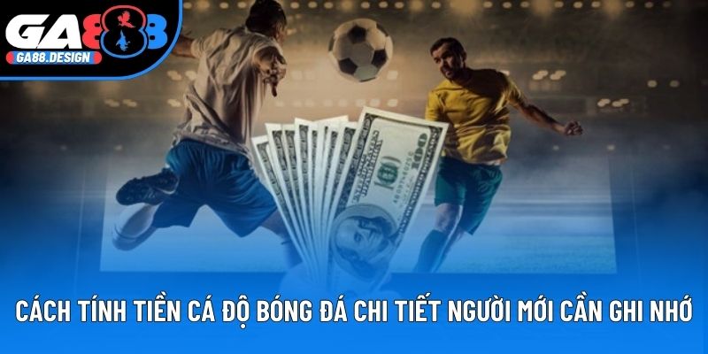 Cách Tính Tiền Cá Độ Bóng Đá Chi Tiết Người Mới Cần Ghi Nhớ