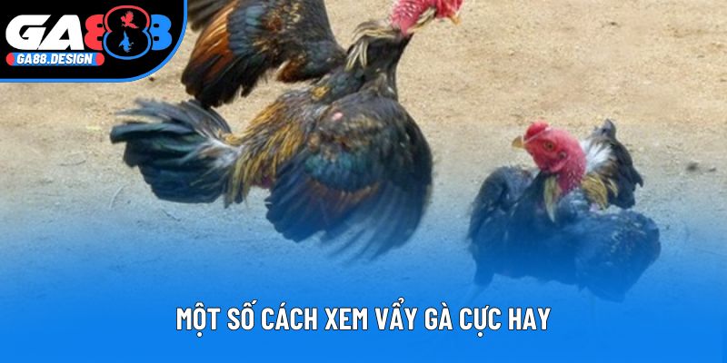 Một số cách xem vẩy gà cực hay