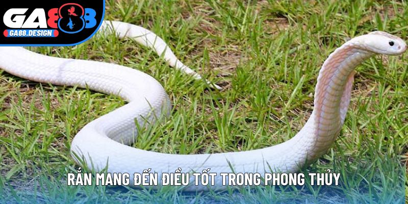 Rắn mang đến điều tốt trong phong thủy