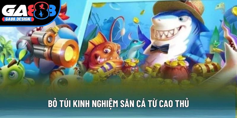Bỏ túi kinh nghiệm săn cá từ cao thủ